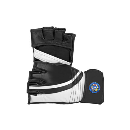MMA Gloves
